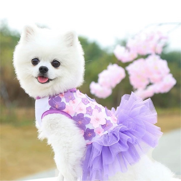 NWT - Fashion Pet Dog Clothes (Purple/Pink 4pack), X-Small - Picture 5 of 11